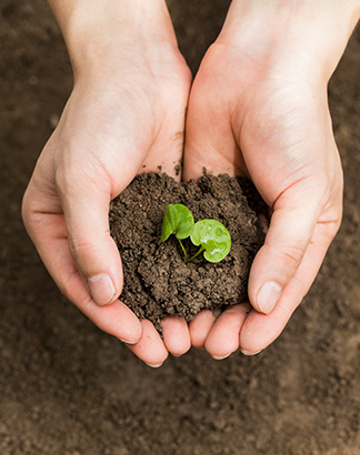 Environmental friendly Environmental friendly